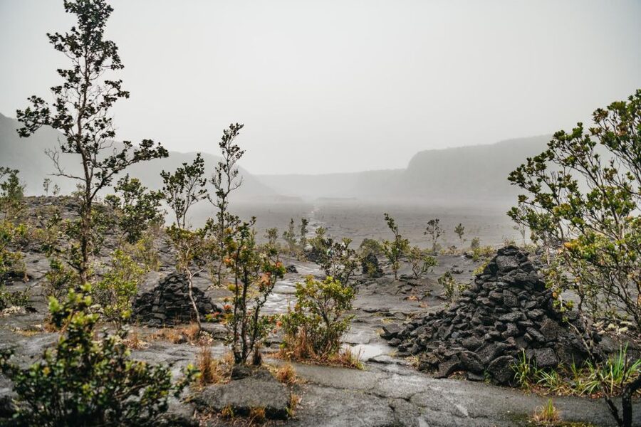 Big Island: Hawai'i Volcanoes National Park Guided Hike - Walking into Thurston Lava Tube