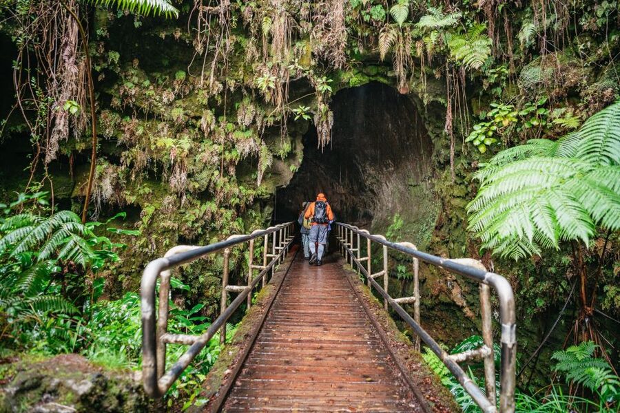 Big Island: Hawai'i Volcanoes National Park Guided Hike - Meeting your guide at Kilauea Visitor Center
