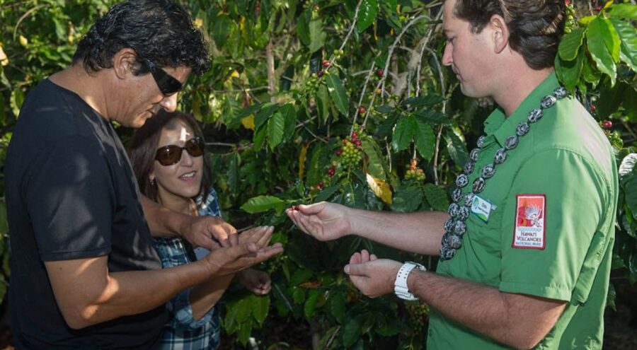 Big Island, Hawaii: Volcano and Stargazing Tour with Dinner - Hawaiʻi Volcanoes National Park is the core of the day