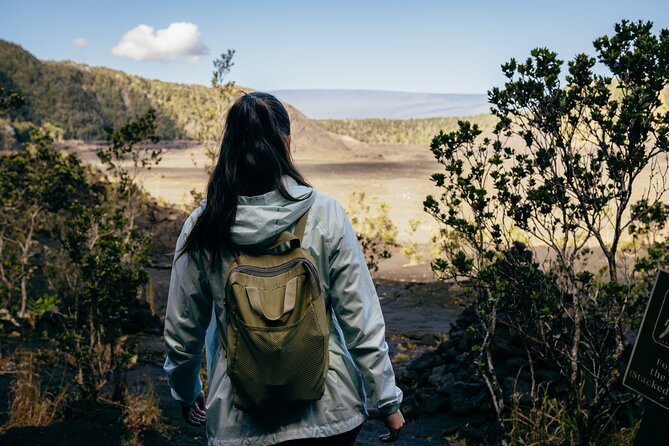 Big Island Highlights: Coffee, Volcano, Black Sands & Waterfall - Greenwell Farms and the taste of Kona