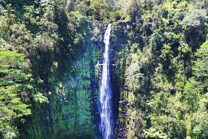 Big Island in a Day-Explore Volcanoes, Waterfalls, Beaches & more - Hawaiʻi Volcanoes National Park in 90 minutes