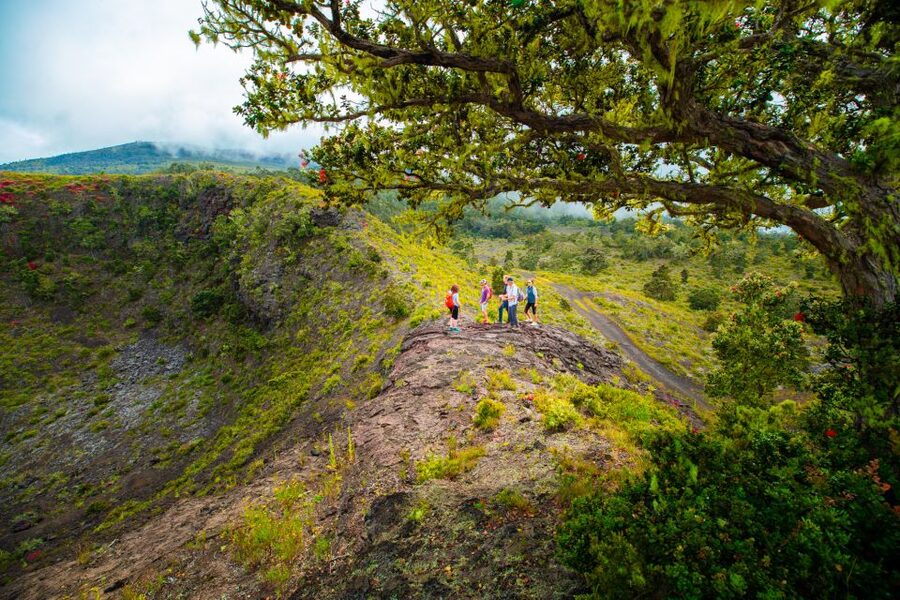 Big Island: Off the Beaten Path Volcano Crater Hike - Who will enjoy this hike most