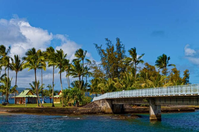 Big Island Scenic Tour: Volcano HiloTown Waterfalls Beach & Lunch - Brief stops with cultural and garden interest