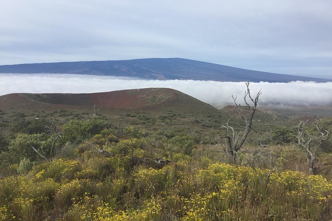 Big Island Volcano Adventure from Kona: Small Group - How the long day feels in practice