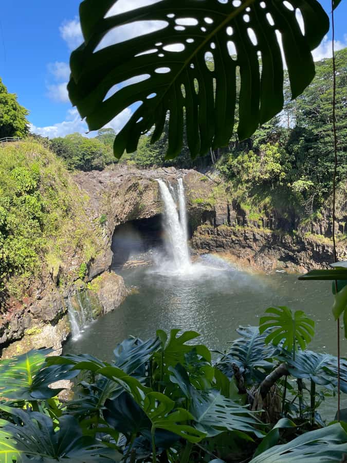 Big Island: Volcano, Black Sand Beach, Waterfall, with Lunch - Punaluʻu, black sand, and green sea turtles
