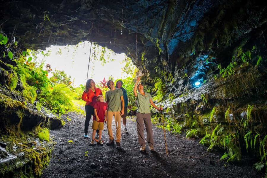Big Island: Volcano, Chocolate & Waterfall Adventure - Who should book this Big Island adventure?