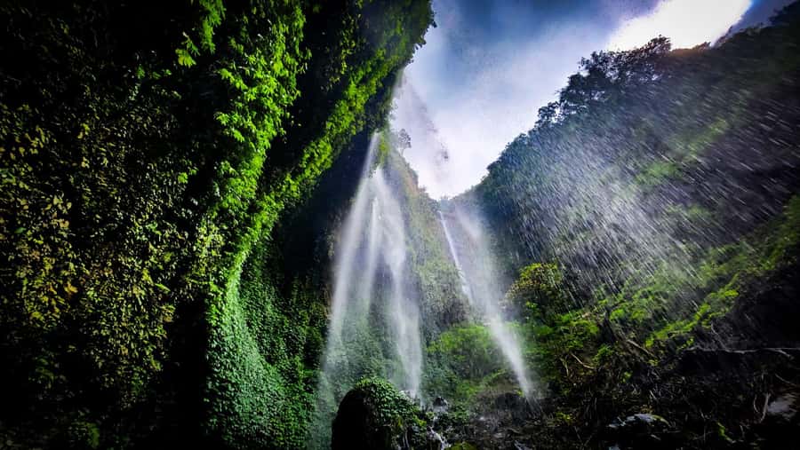 Bromo Sunrise & Madakaripura Waterfall Private 1 Day Tour - The 4WD ride to King Kong Hills