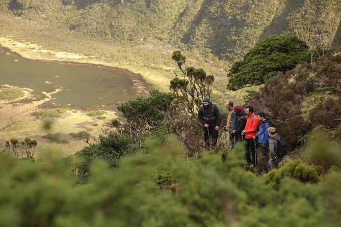 Caldeira do Faial Descent - private hiking tour - Key points before you book