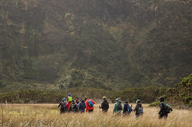 Caldeira do Faial Descent - private hiking tour - Why the Caldeira descent is special