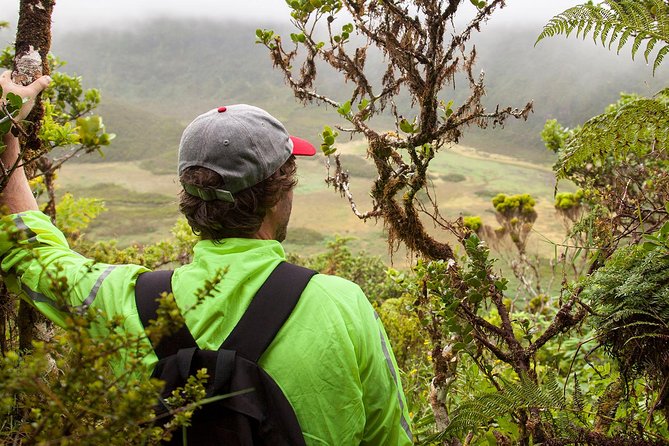Caldeira do Faial Descent - private hiking tour - A private descent that still feels wild
