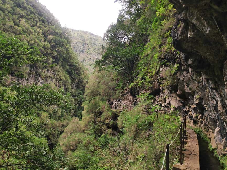Caldeirão Verde: Levada Caldeirao Verde Hiking Transfer - The return walk is familiar, but not always quiet