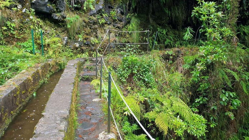 Caldeirão Verde: Levada Caldeirao Verde Hiking Transfer - What the $39 price really covers