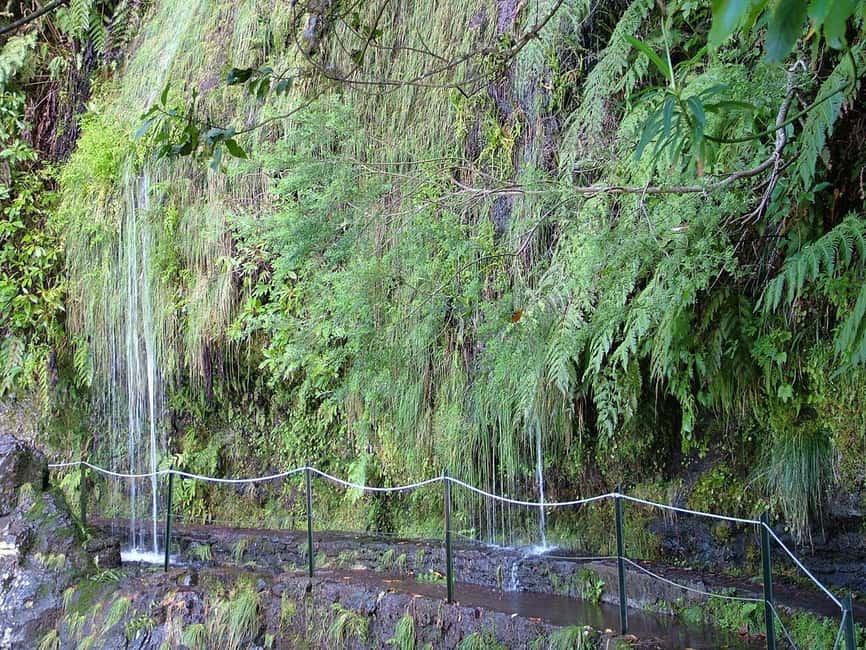 Caldeirão Verde: Levada Caldeirao Verde Hiking Transfer - What to pack for a wet Madeira trail