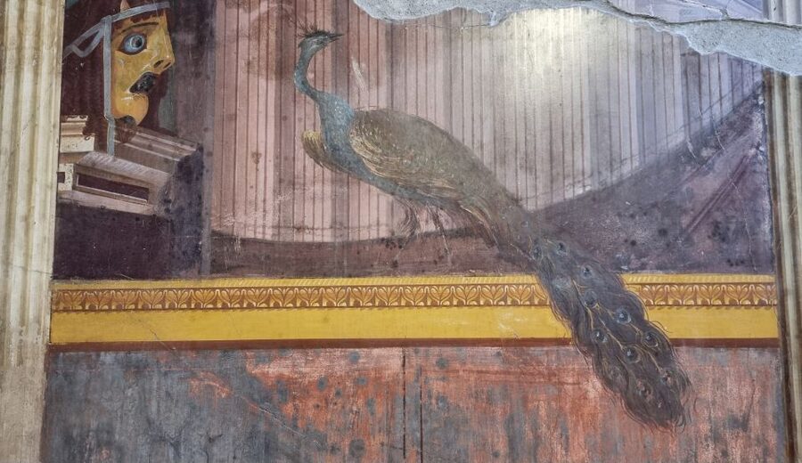 Campania: Pompei+Herculaneum+Vesuvius audio guide - Oplontis and Villa di Poppea deserve attention
