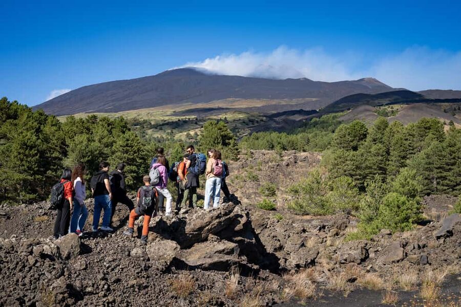 Catania: Amazing Etna Morning Tour with Pickup and Drop-Off - Grotta delle Nevi and the underground side of Etna