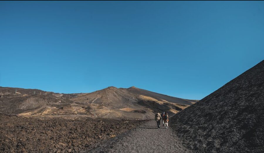 Catania: Etna Morning Excursion with Tasting and Pickup - The lava cave and the story of the 1991 flow