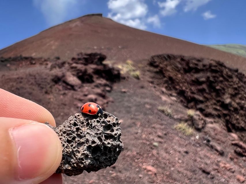 Catania: Etna Morning Excursion with Tasting and Pickup - Who should book this Etna excursion?