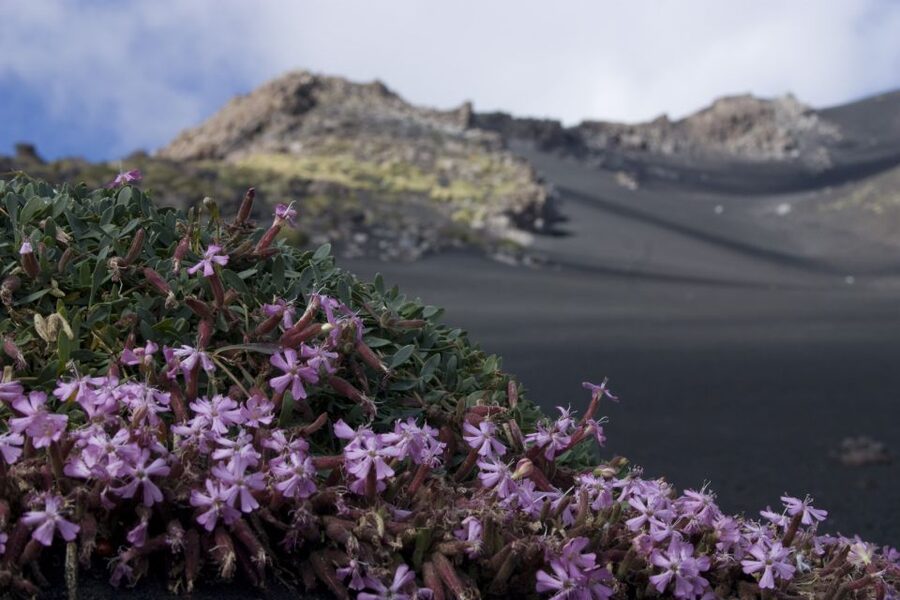 Catania: Etna Morning or Sunset Trek with Lava Tunnel & Gear - Clothing, fitness, and who should book
