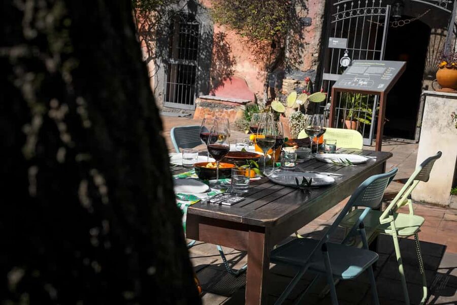 Catania: Etna Urban Winery Sicilian Lunch with Wine Tasting - The urban vineyards and garden time