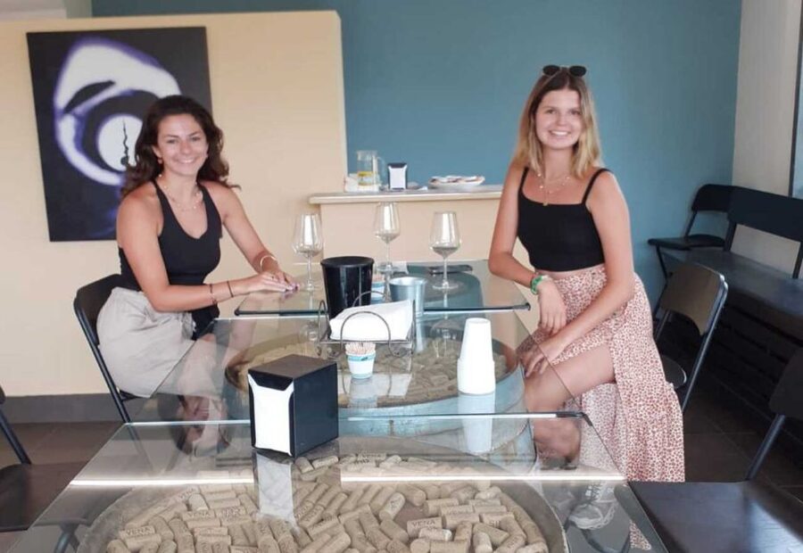 Catania: Guided Tour of Etna with Wine Tasting & Appetizers - Crateri Silvestri and the first Etna walk