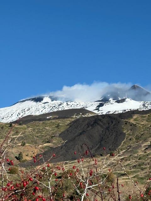 Catania: Morning Jeep Tour of Mount Etna and Lava Flow Caves - How the guides shape the experience