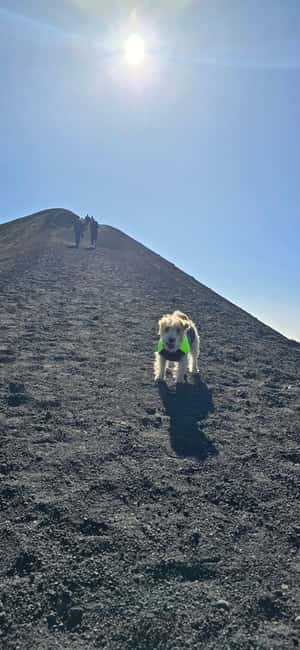 Catania: Morning tour of Etna with a visit to the Valle del Bove - Seeing the lava flows from 2001 and 2003