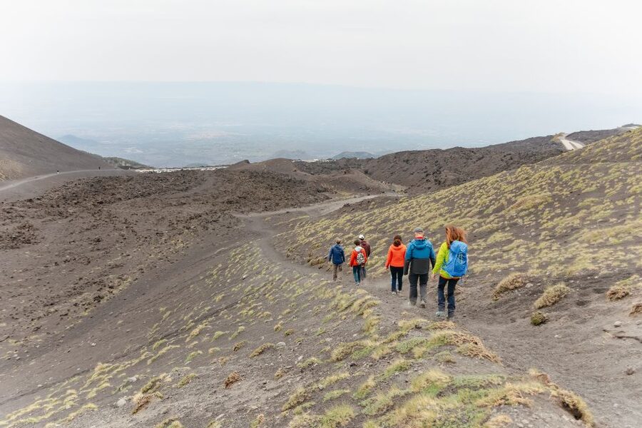 Catania: Mount Etna Morning or Sunset Day Trip with Tasting - Monte Pomiciaro and the Valle del Bove