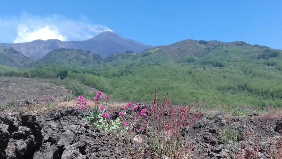 Catania: Mount Etna Sunset Tour and Etna Doc Wine - Why this Etna sunset tour works so well