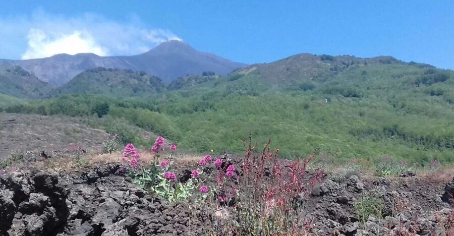 Catania: Mount Etna Sunset Tour and Etna Doc Wine - The Silvestri Craters at 2,000 meters