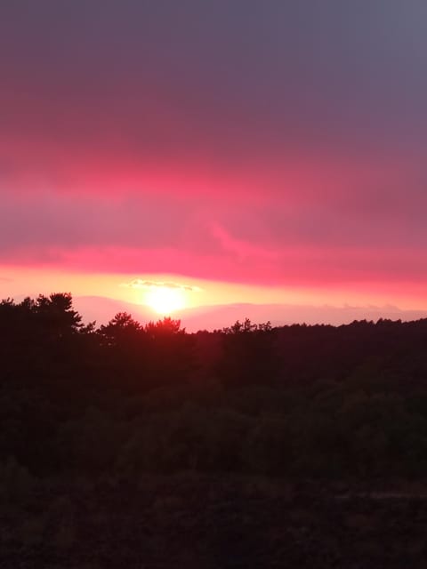 Catania: Mount Etna Sunset Trekking with Wine Tasting - Is $81 a fair price?