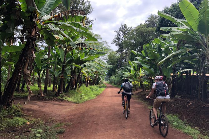 Chagga Villages in Mount Kilimanjaro Cycling Day Trip - Banana and coffee farms around the Chagga villages