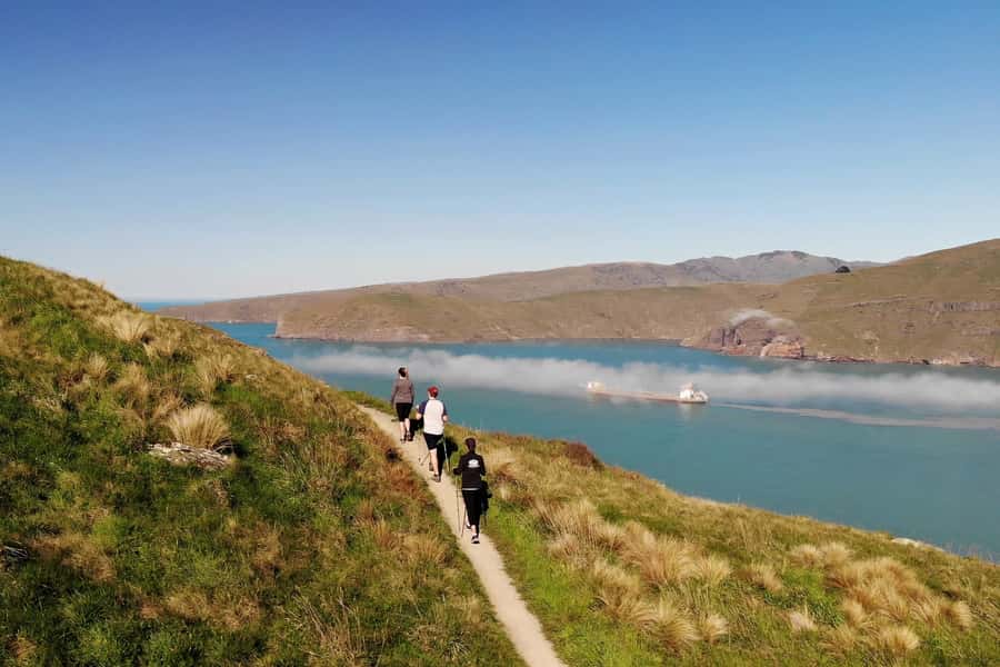 Christchurch: Guided Crater Rim Walk with Coastal Scenery - Why Godley Head makes such a good Christchurch outing