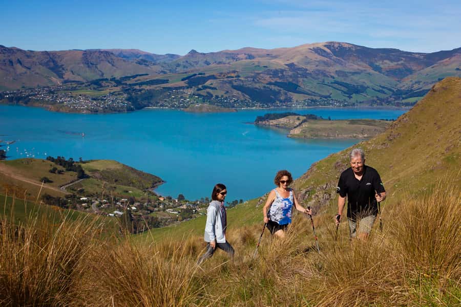 Christchurch: Guided Crater Rim Walk with Coastal Scenery - The Godley Head walk brings scenery and stories together
