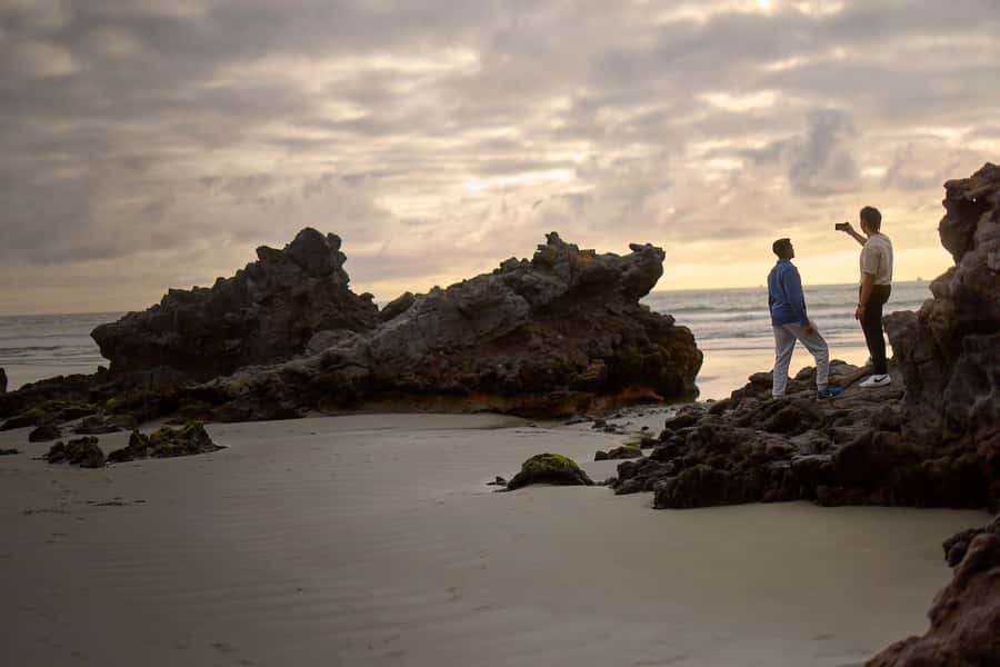 Christchurch: Guided Crater Rim Walk with Coastal Scenery - Wildlife, birds, and the chance of marine sightings