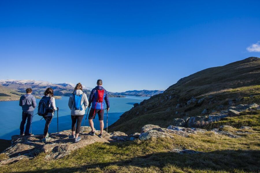Christchurch: Guided Crater Rim Walk with Coastal Scenery - What is included, and why the $140 price can make sense