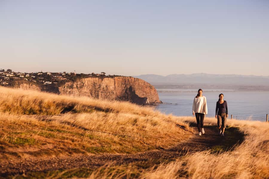 Christchurch: Guided Crater Rim Walk with Coastal Scenery - From Christchurch or Lyttelton to Sumner Beach