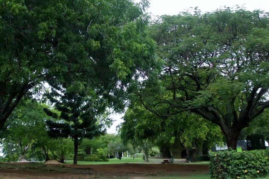 City Tour w/ Gardens, Volcano, Trafalgar Falls, Morne Bruce - Key points at a glance