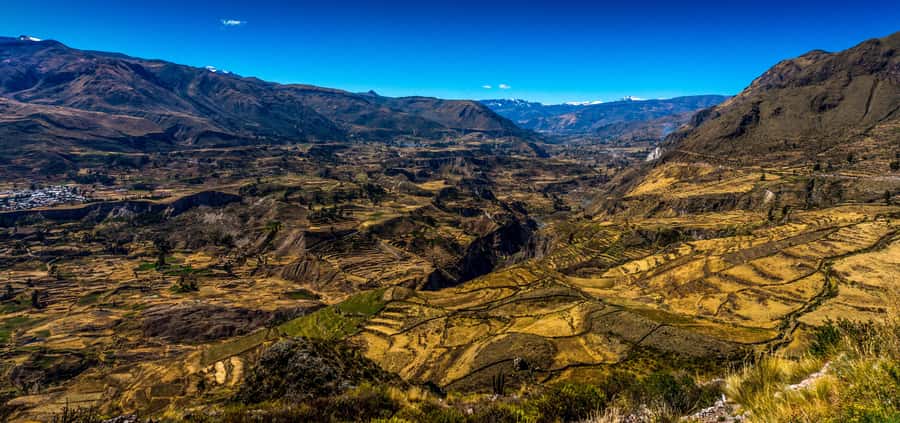Colca Canyon: 2-Day Tour from Arequipa to Puno - Altitude, clothing, and day-to-day comfort