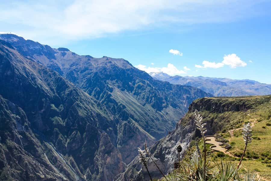 COLCA CANYON FULL DAY TOURS - Terraces, Maca, and the human side of the valley