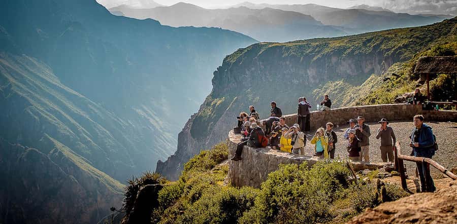 COLCA CANYON FULL DAY TOURS - Toccra alpacas and vicuñas near Pampa Cañahuas