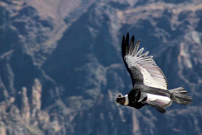 Colca Canyon Plus - Coporaque, local food, and a quieter night