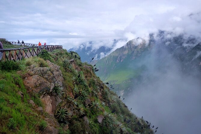 Colca Canyon Plus - What to pack and how to handle the altitude
