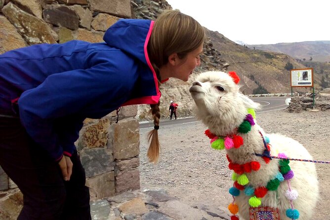 Colca Canyon Plus - Day one, vicuñas and volcanoes above 4,000 meters