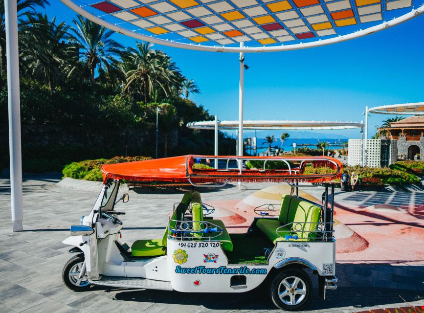 Costa Adeje: Secret Volcano Tuk Tuk Tour - Why this short tuk tuk tour is more than a resort drive