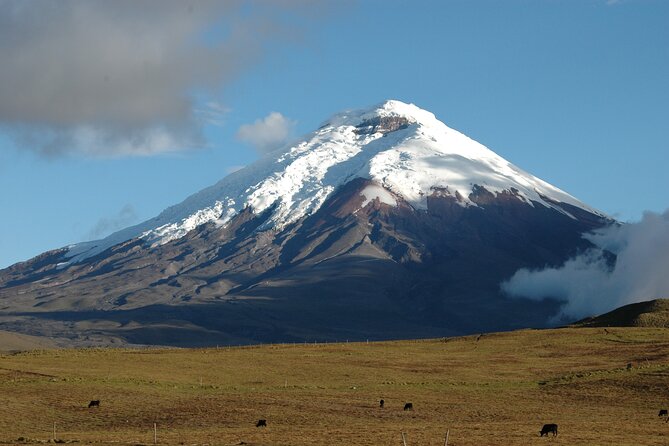 Cotopaxi Volcano Quest! - Practical preparation for the 7:20 a.m. start