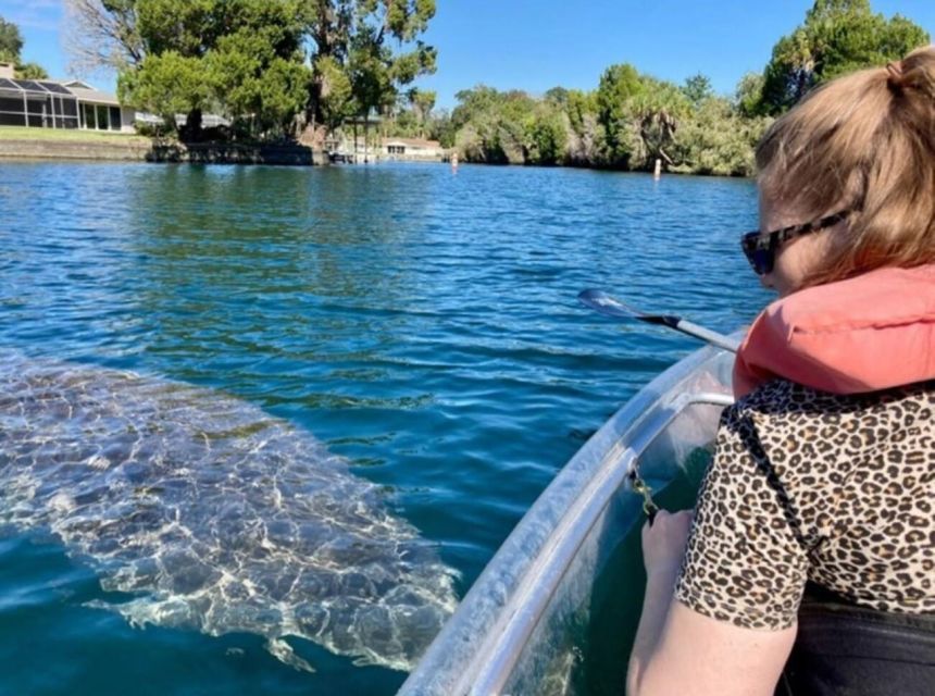 Crystal River: Three Sisters Springs Eco Tour by Clear Kayak - Starting at Pete’s Pier Marina