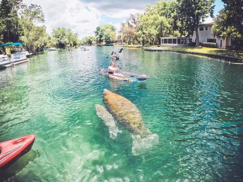 Crystal River: Three Sisters Springs Eco Tour by Clear Kayak - What happens once you reach the launch