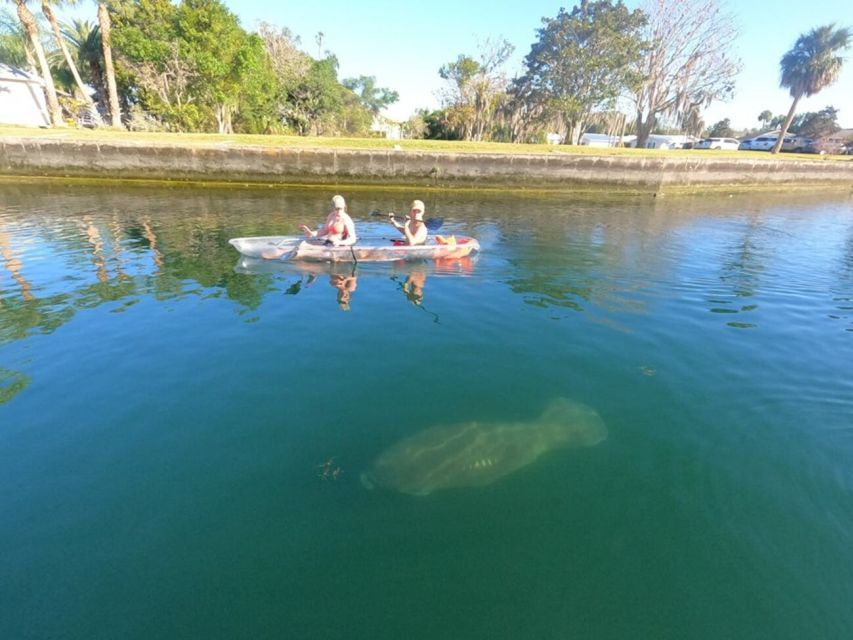 Crystal River: Three Sisters Springs Eco Tour by Clear Kayak - Three Sisters Springs from April through November