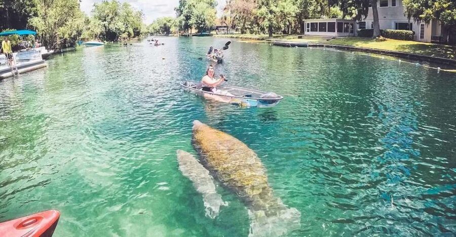 Crystal River: Three Sisters Springs Eco Tour by Clear Kayak - Is $84 a fair price?