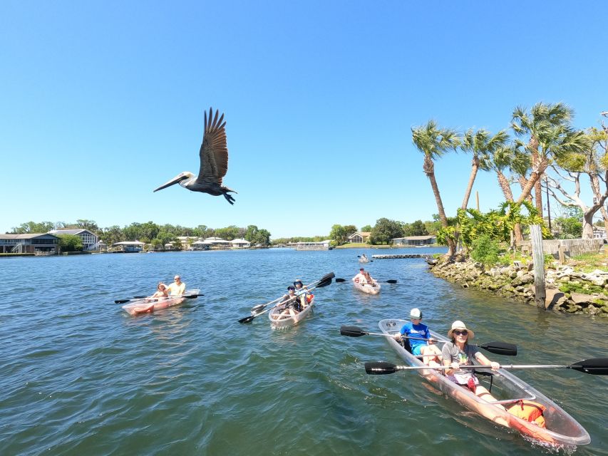 Crystal River: Three Sisters Springs Eco Tour by Clear Kayak - Two seasons, two different routes
